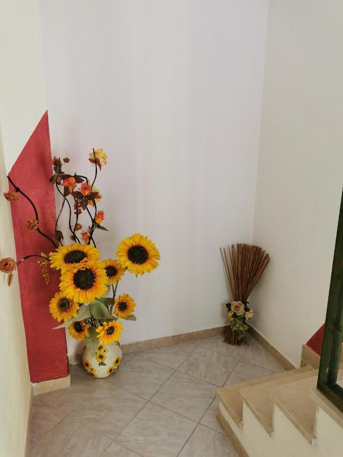 Gigiotto Apartment Сиракуза Екстериор снимка